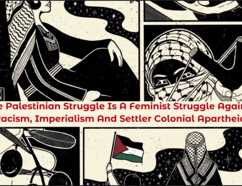 Transnational Solidarity with Palestine against Settler Colonial Apartheid